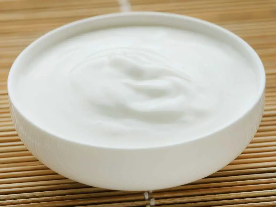 yogurt-for-gentle-nutrition