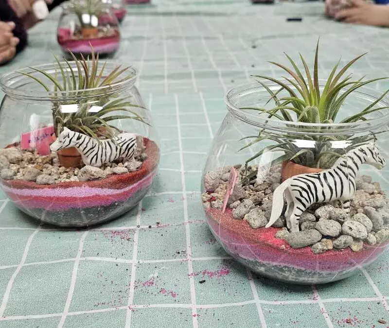 diy-terrariums-craft-to-do-when-you-are-bored