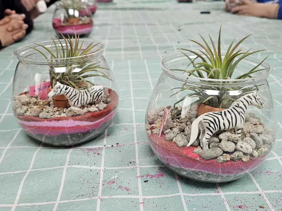 diy-terrariums-craft-to-do-when-you-are-bored