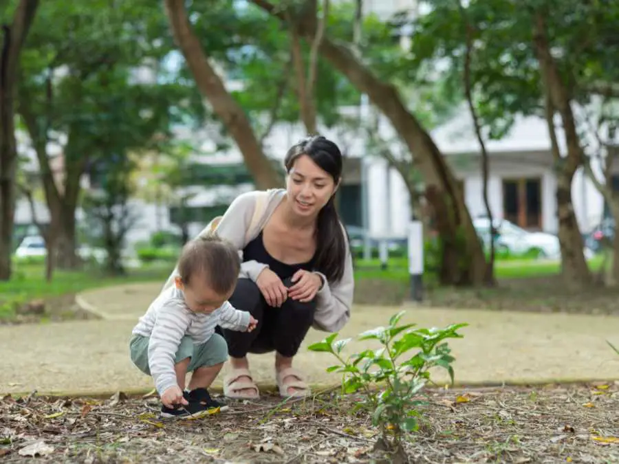 nature-walk-explorations-creative-leaning-activities