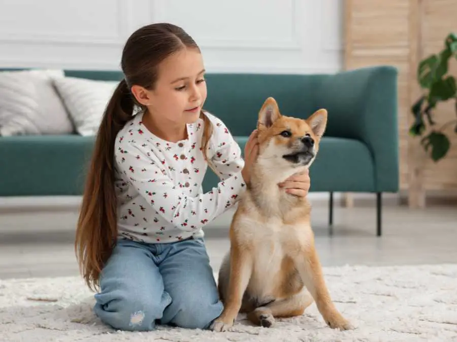 pet-care-after-school-routine