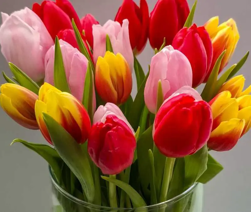 tulips-wedding-flowers
