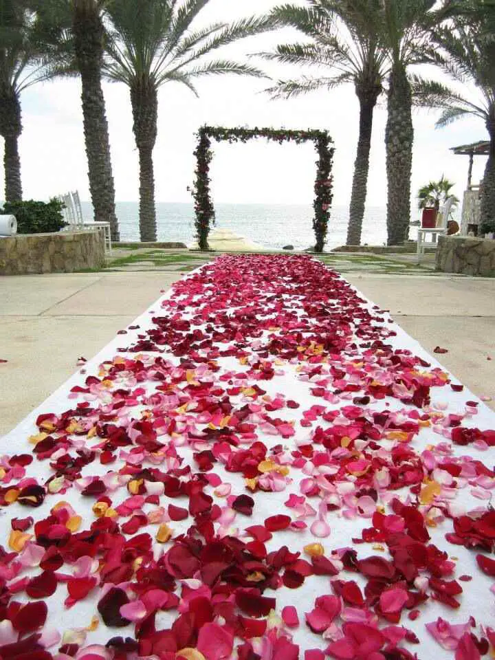 flower-petal-pathway-birthday-decoration-ideas