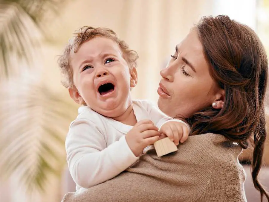 Limit-exposure-to-aggressive-behavior