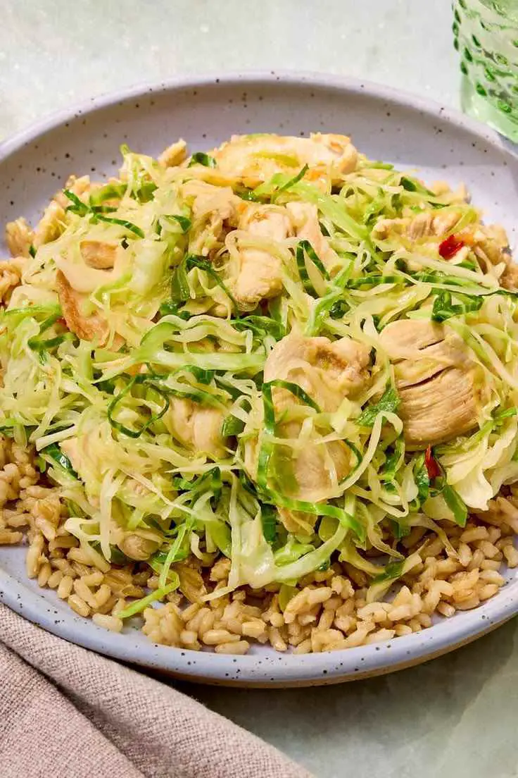 cabbage-stir-fry-with-rice-budget-friendly-meals