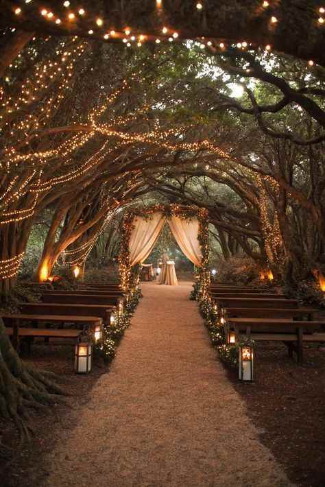 forest-enchanted-wedding