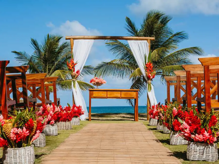 tropical-paradise-celebration