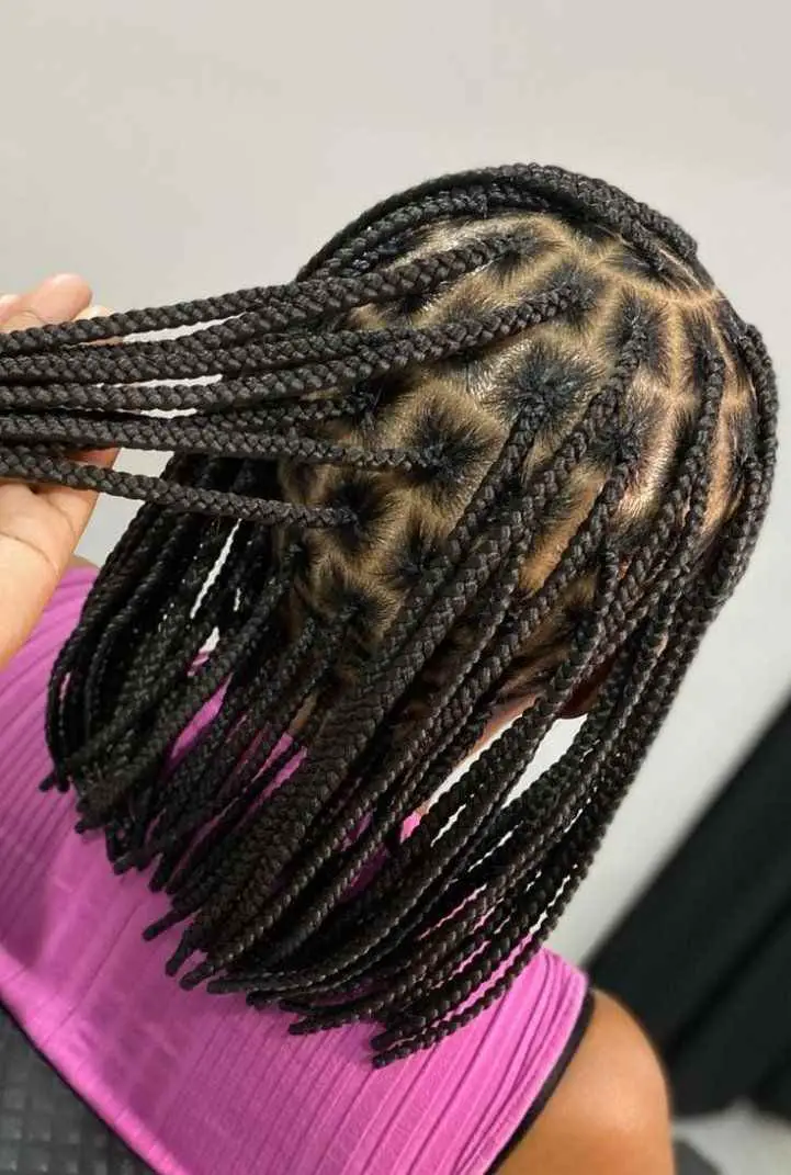 jumbo-box-braids-box-braid-styles