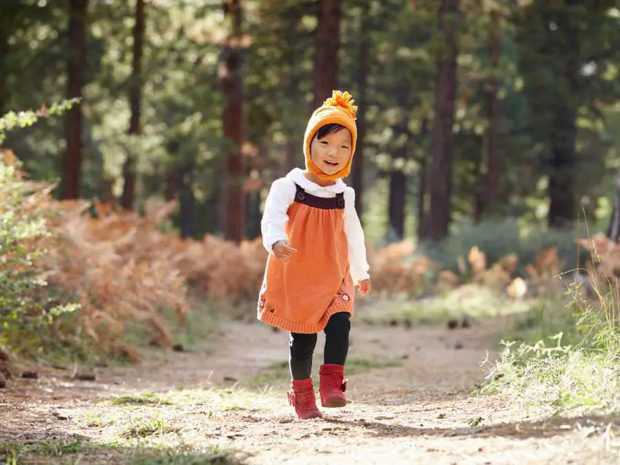nature-discovery-walk