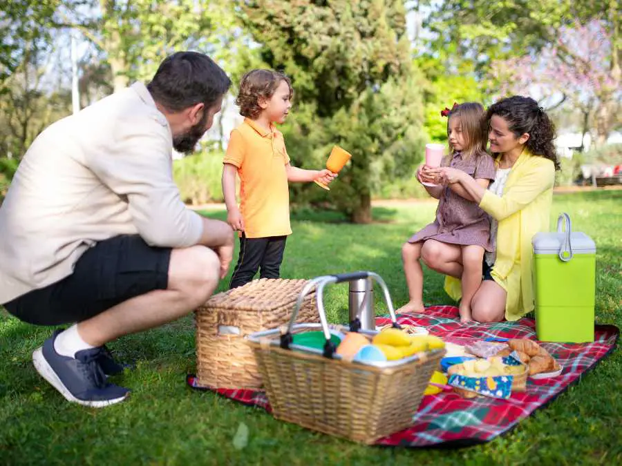 organize-a-backyard-picnic-screen-freen-activities-for-kids