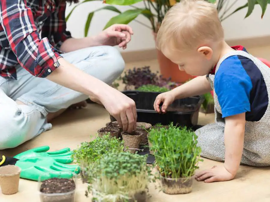 plant-growing-project
