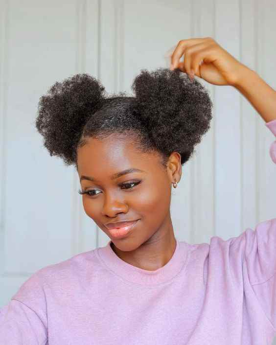 two-puff-hairstyle-natural-hairstyle-for-black-women